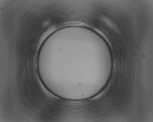 X0000086221466200703290951
