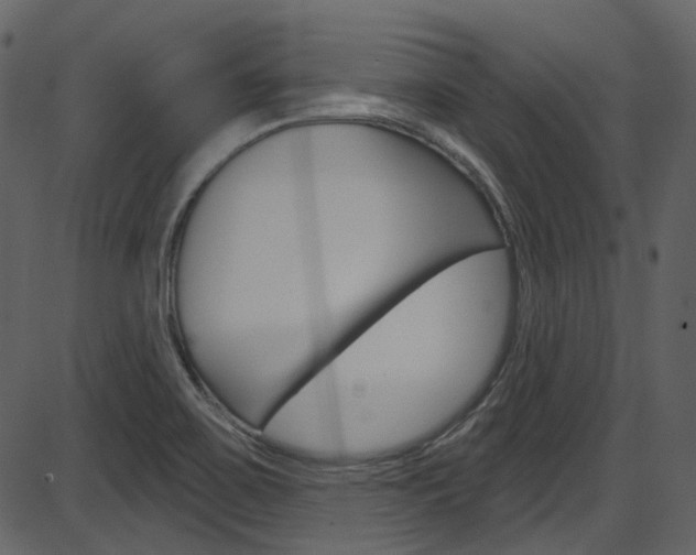 X0000086221467200703290951