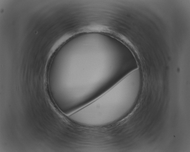 X0000086221469200703290951