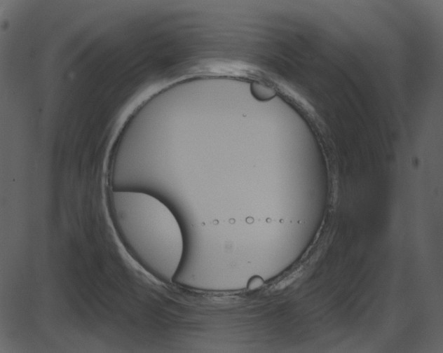 X0000086221471200703290951
