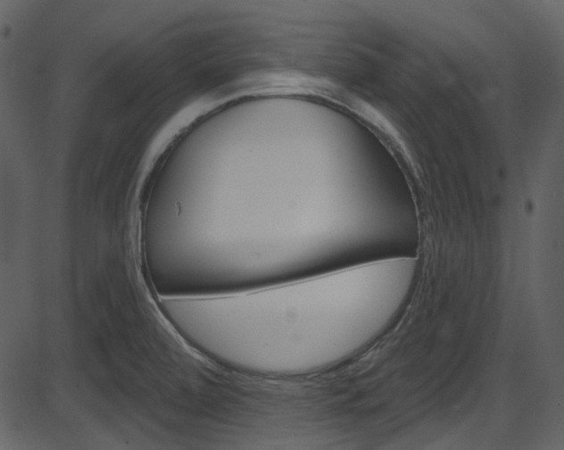 X0000086221472200703290951
