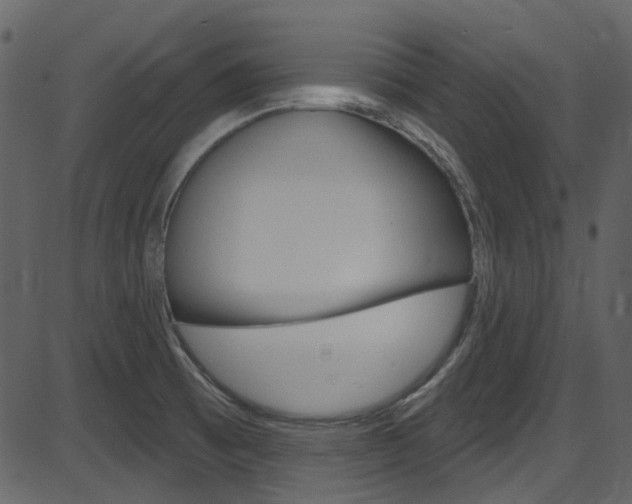 X0000086221473200703290951