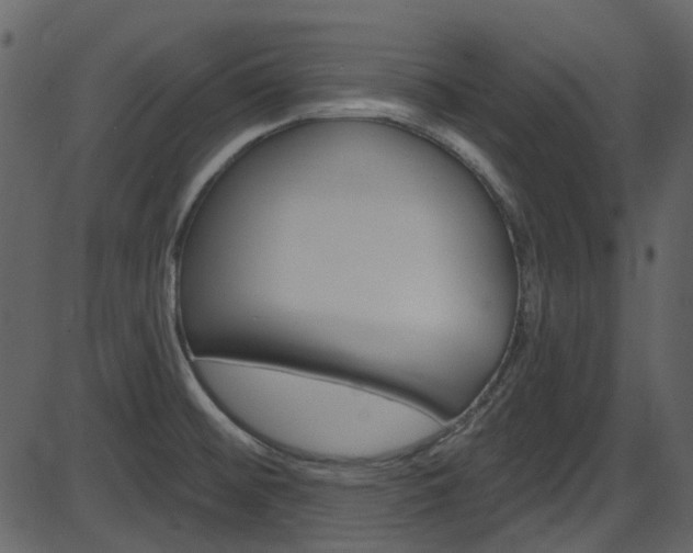 X0000086221476200703290951