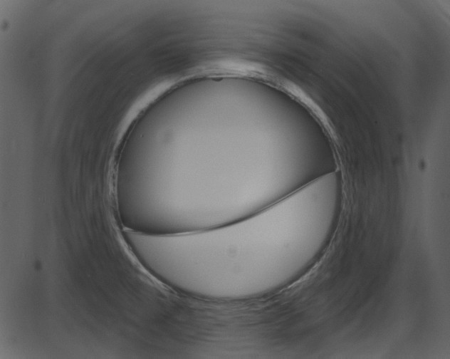 X0000086221477200703290951