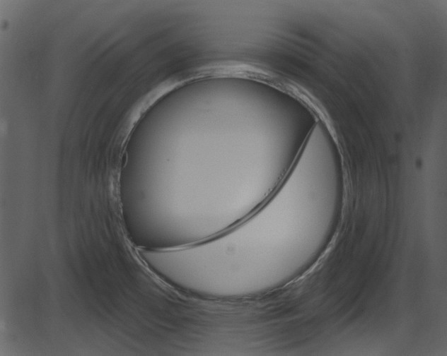 X0000086221481200703290951