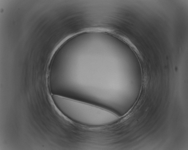 X0000086221484200703290951