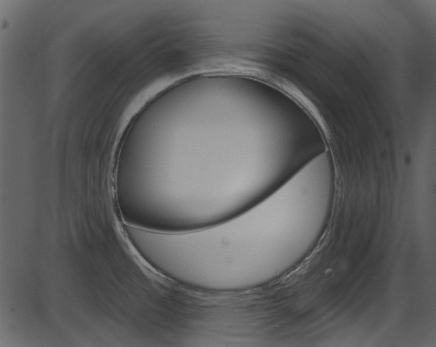 X0000086221485200703290951