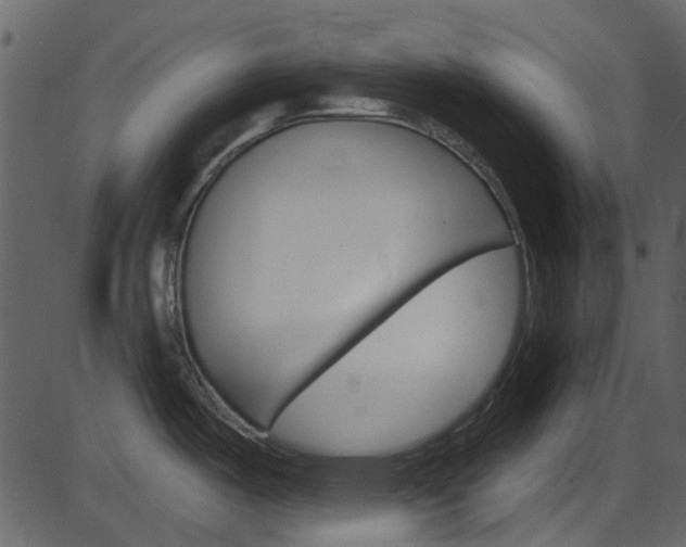 X0000086221487200703290951