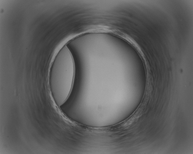 X0000086221488200703290951