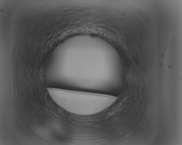 X0000086221490200703290950