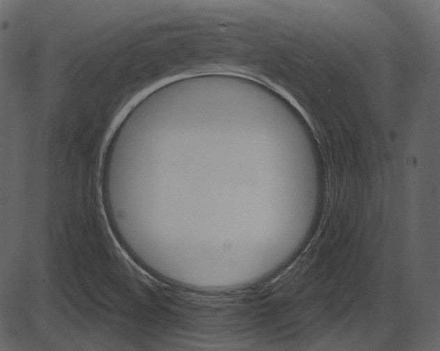 X0000086221508200703290950