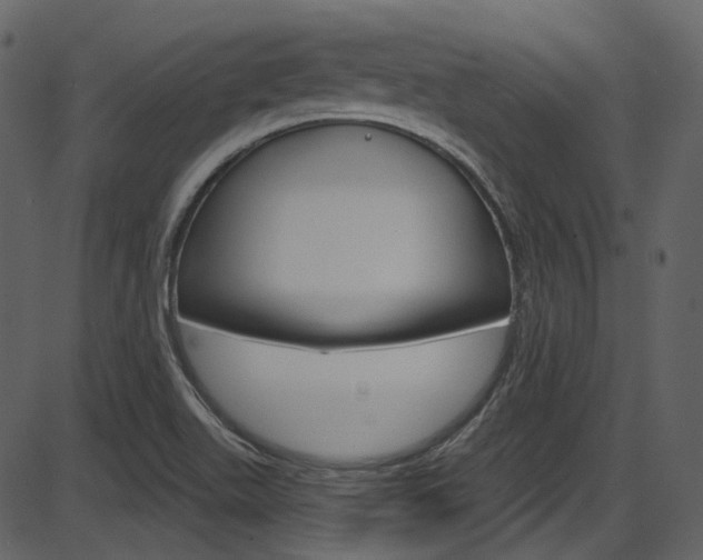 X0000086221511200703290950