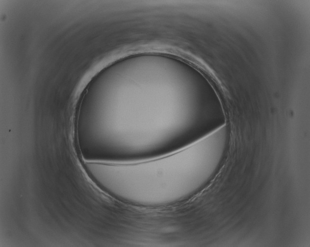 X0000086221512200703290950