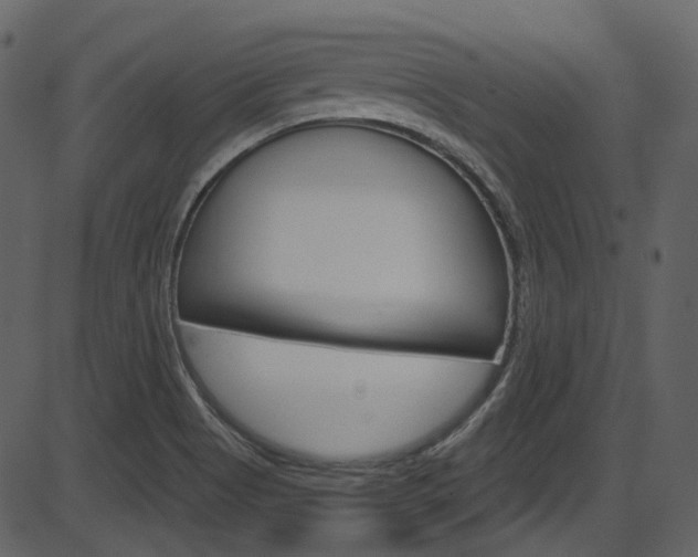 X0000086221513200703290950