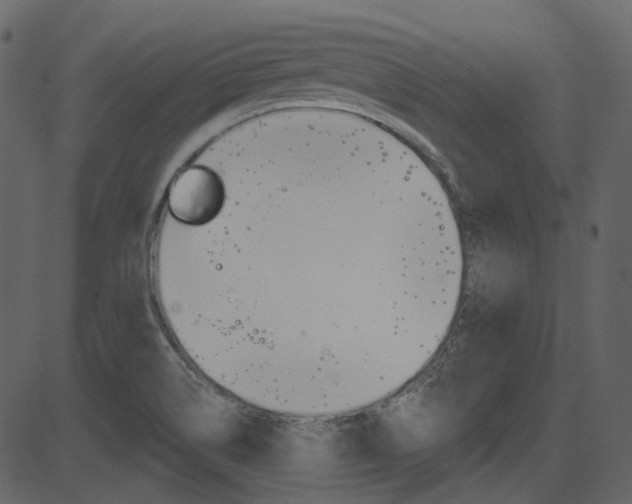X0000086221514200703290950