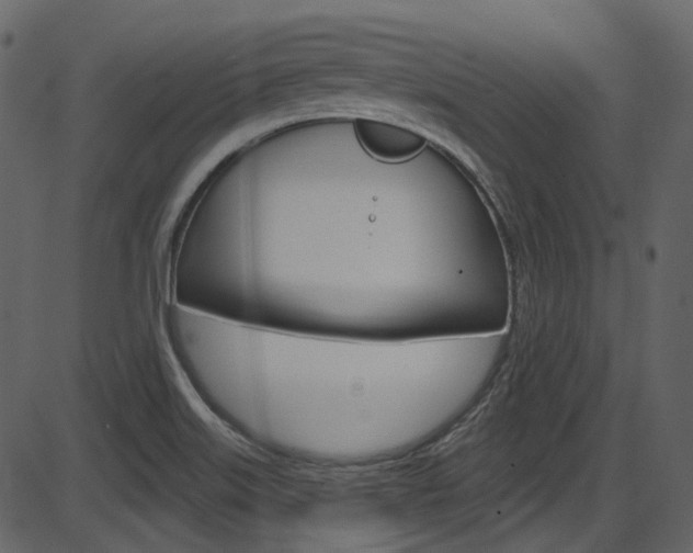 X0000086221515200703290950