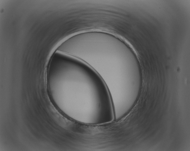 X0000086221516200703290950