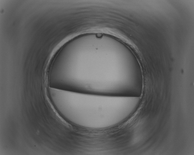 X0000086221517200703290950