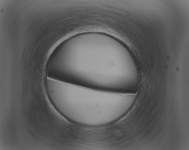 X0000086221518200703290950