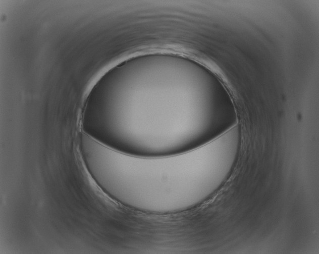 X0000086221524200703290950