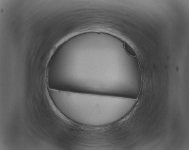 X0000086221526200703290951