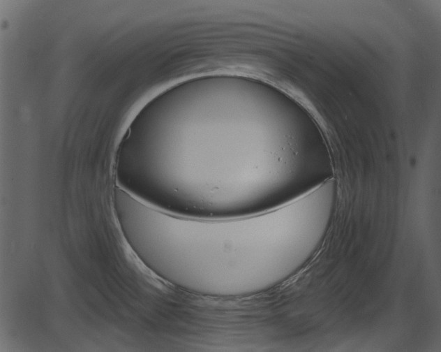 X0000086221532200703290951