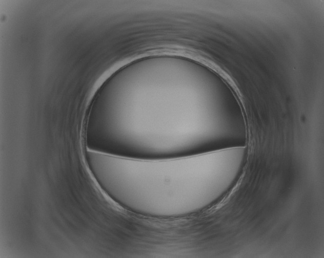 X0000086221533200703290951