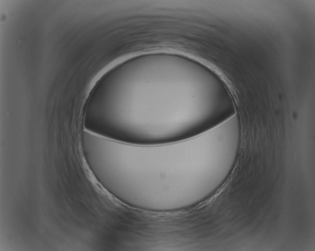 X0000086221534200703290951