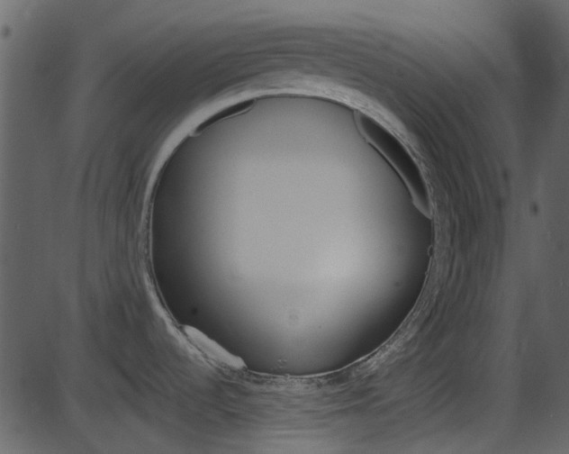 X0000086221536200703290951