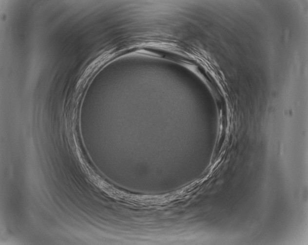 X0000086220001200703291224