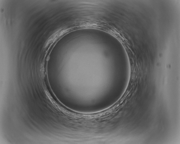 X0000086220002200703291224