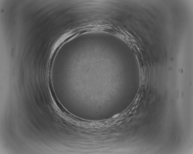 X0000086220003200703291224