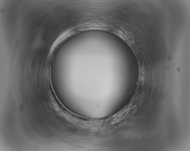 X0000086220004200703291224