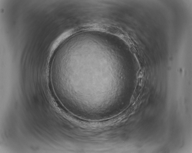 X0000086220006200703291224