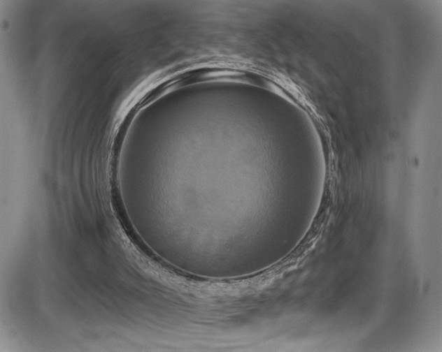 X0000086220007200703291224