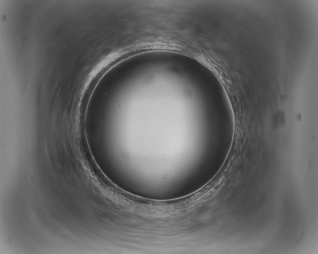 X0000086220008200703291224