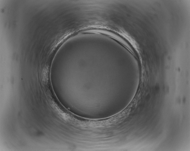 X0000086220009200703291223