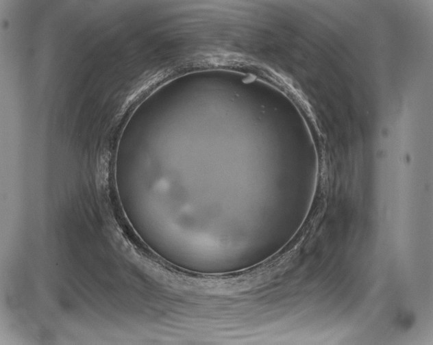 X0000086220010200703291223