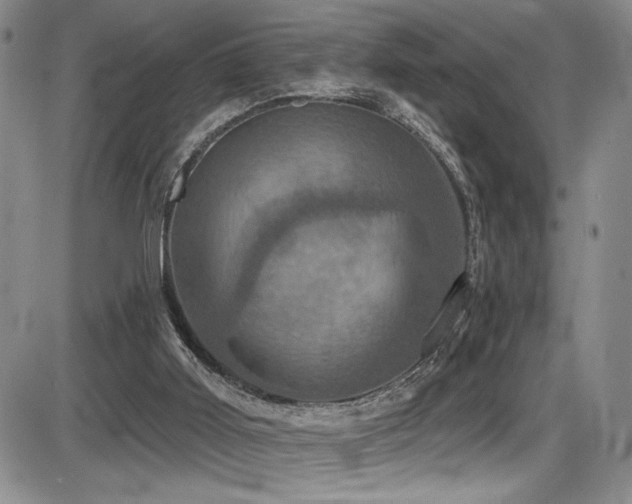 X0000086220011200703291223