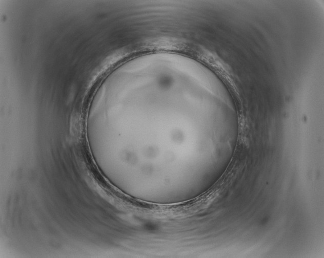 X0000086220012200703291223