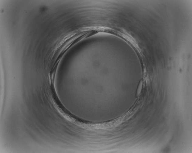 X0000086220013200703291223