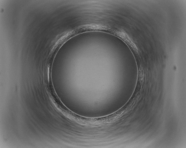 X0000086220014200703291223