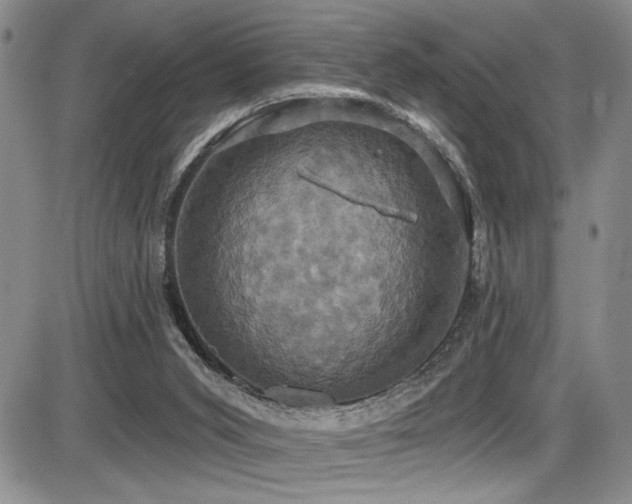 X0000086220015200703291223