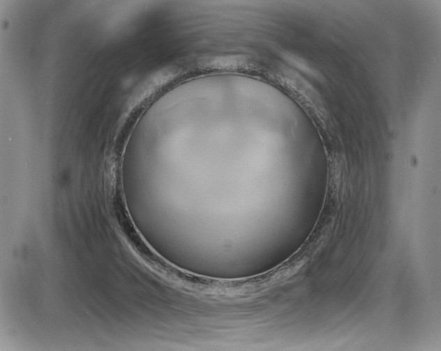 X0000086220016200703291223