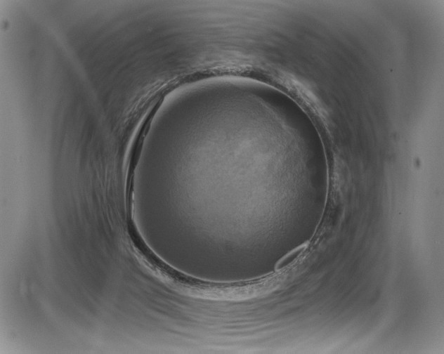 X0000086220017200703291223