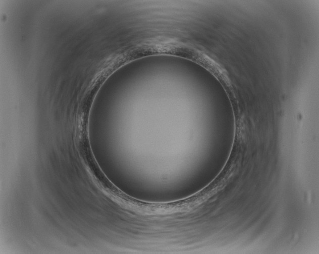 X0000086220018200703291223