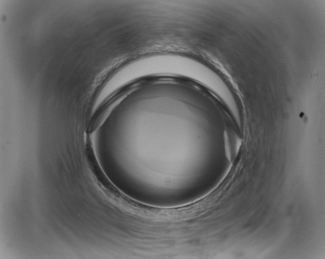 X0000086220019200703291223