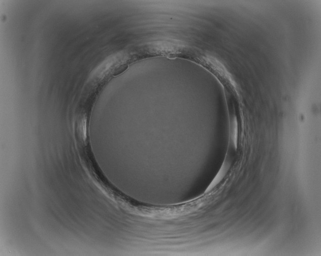 X0000086220021200703291223