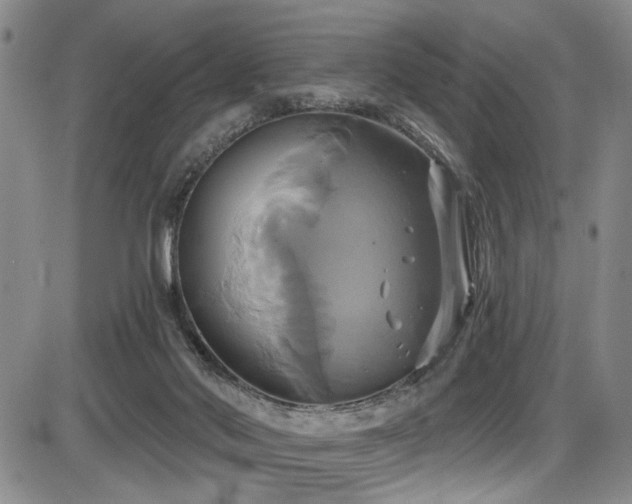 X0000086220022200703291223