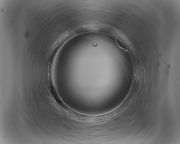 X0000086220023200703291223